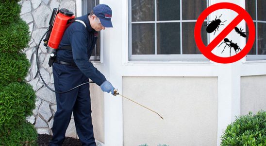Aşkale Tahtakurusu İlaçlama böcek ilaçlama ve haşere kontrolü — ilaclama-tr.com